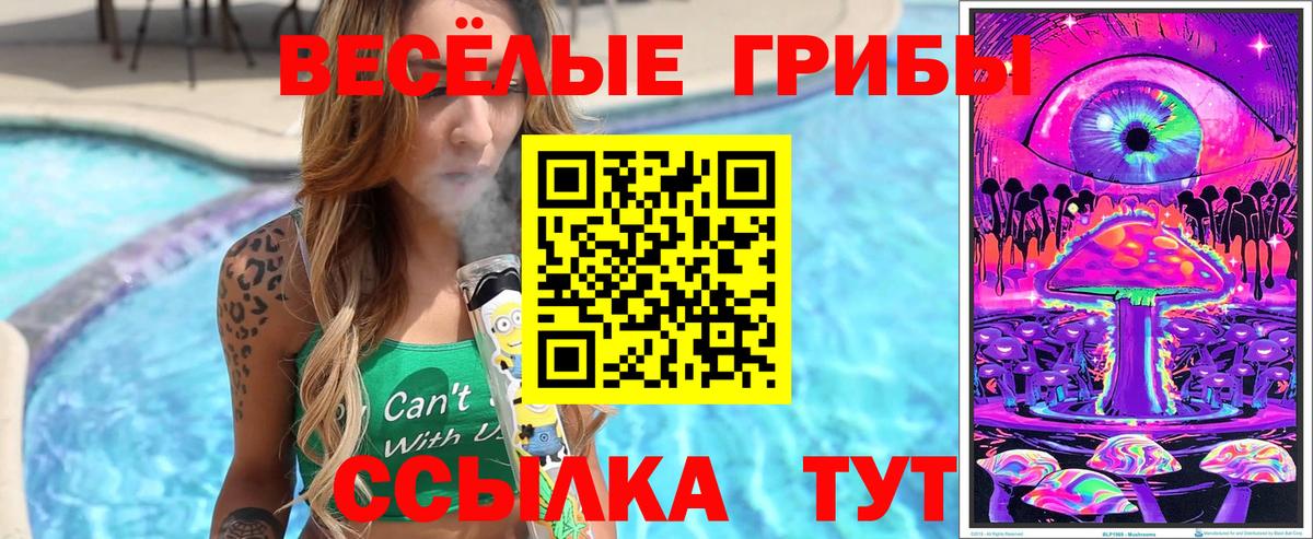 Псилоцибиновые грибы прущие грибы Москва