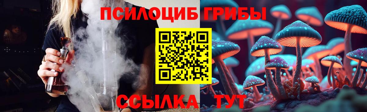 закладки  Псилоцибиновые грибы GOLDEN TEACHER  Вход с VPN  Псилоцибиновые грибы Psilocybe  Москва 