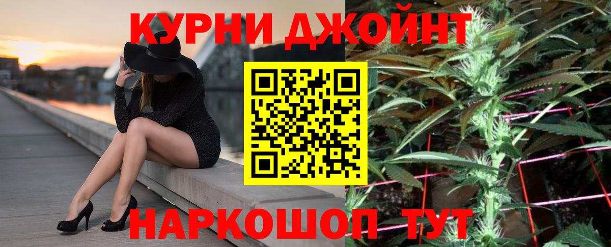 Каннабис сатива Москва